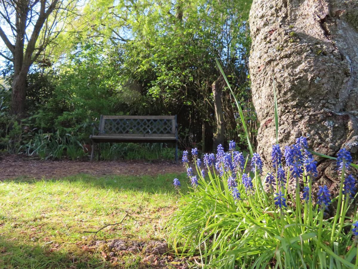 Villa La Quitapenas Ronse Esterno foto