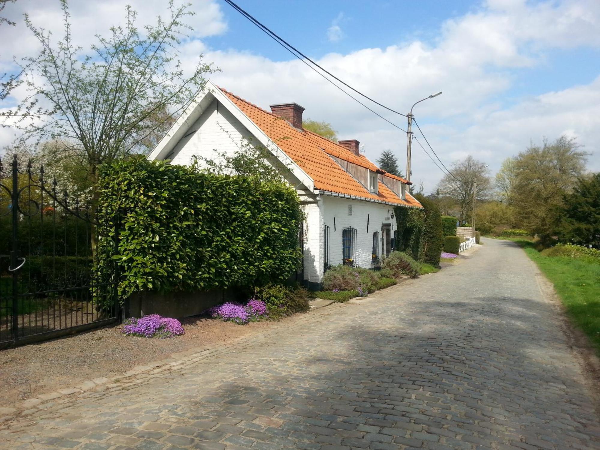 Villa La Quitapenas Ronse Esterno foto