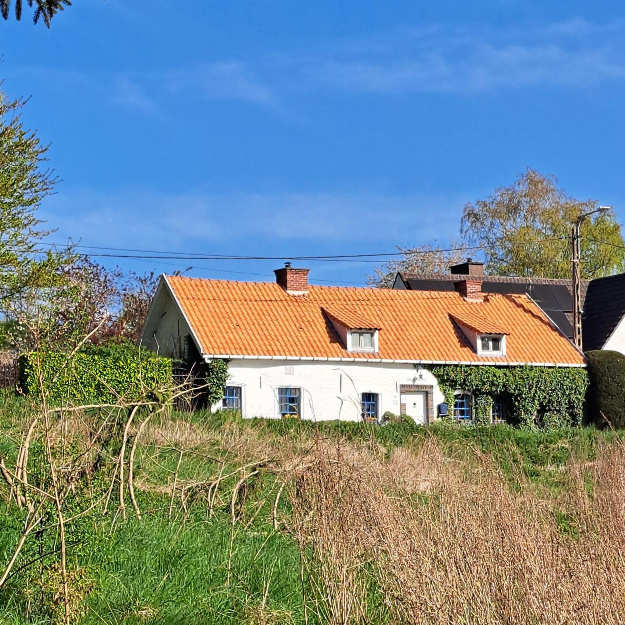 Villa La Quitapenas Ronse Esterno foto