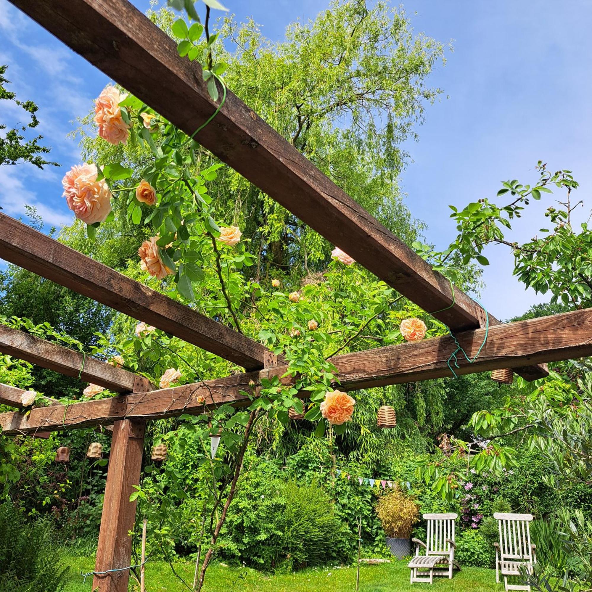 Villa La Quitapenas Ronse Esterno foto