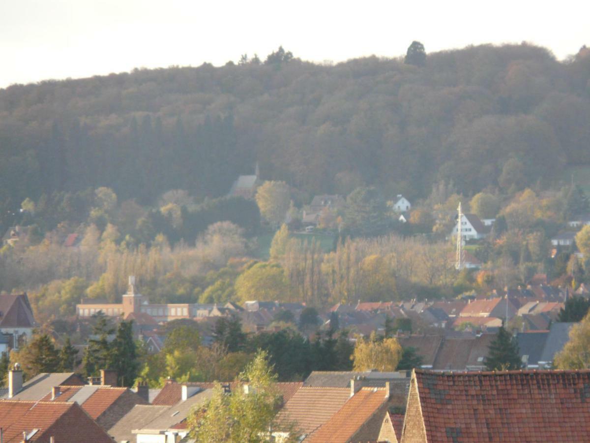 Villa La Quitapenas Ronse Esterno foto