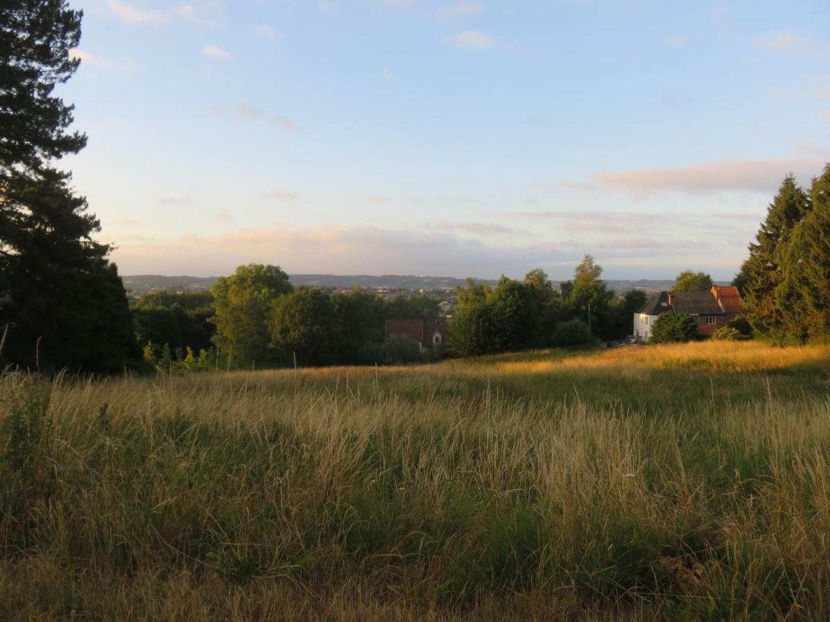 Villa La Quitapenas Ronse Esterno foto